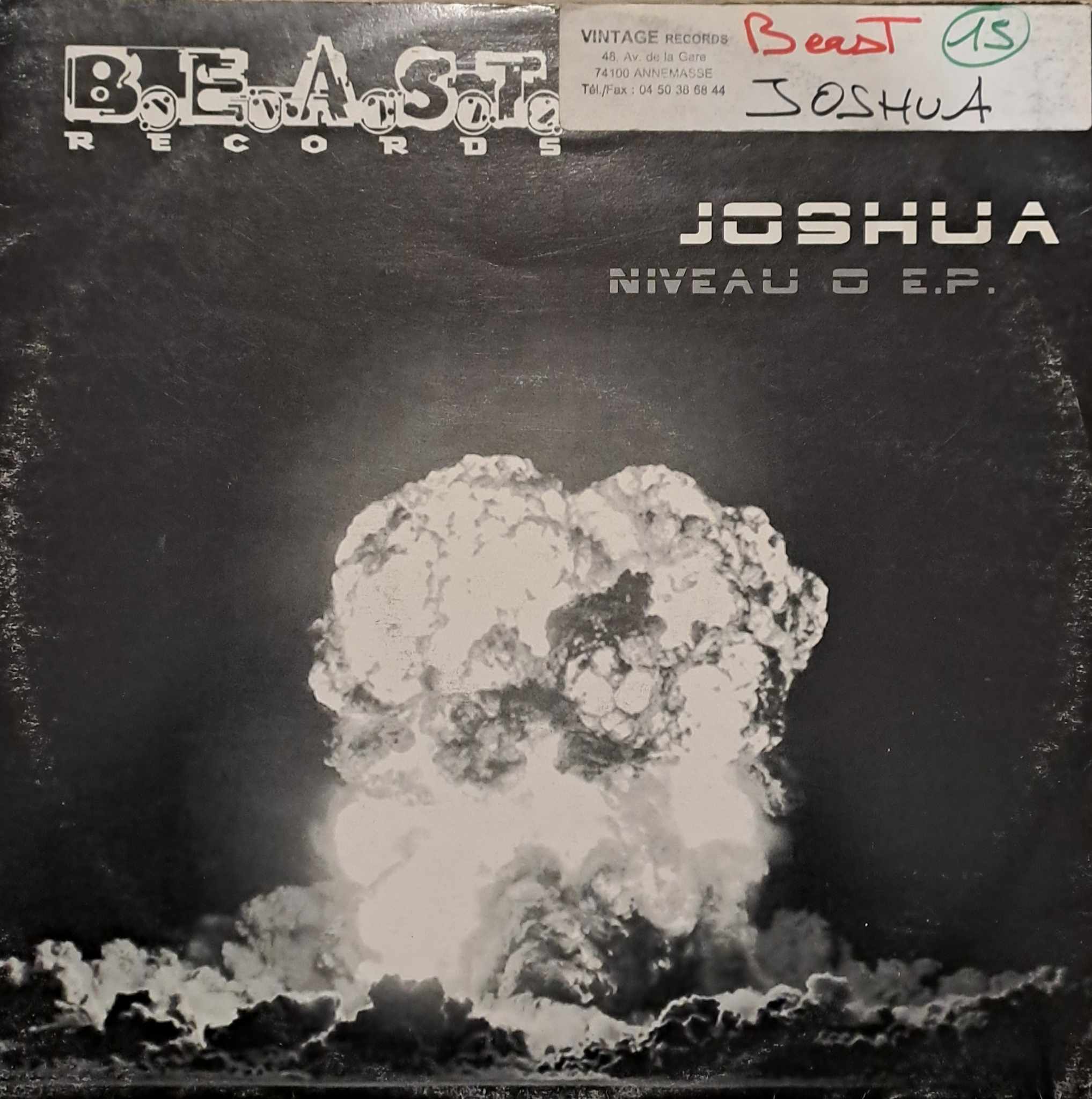 B.E.A.S.T. 15 - vinyle hardcore